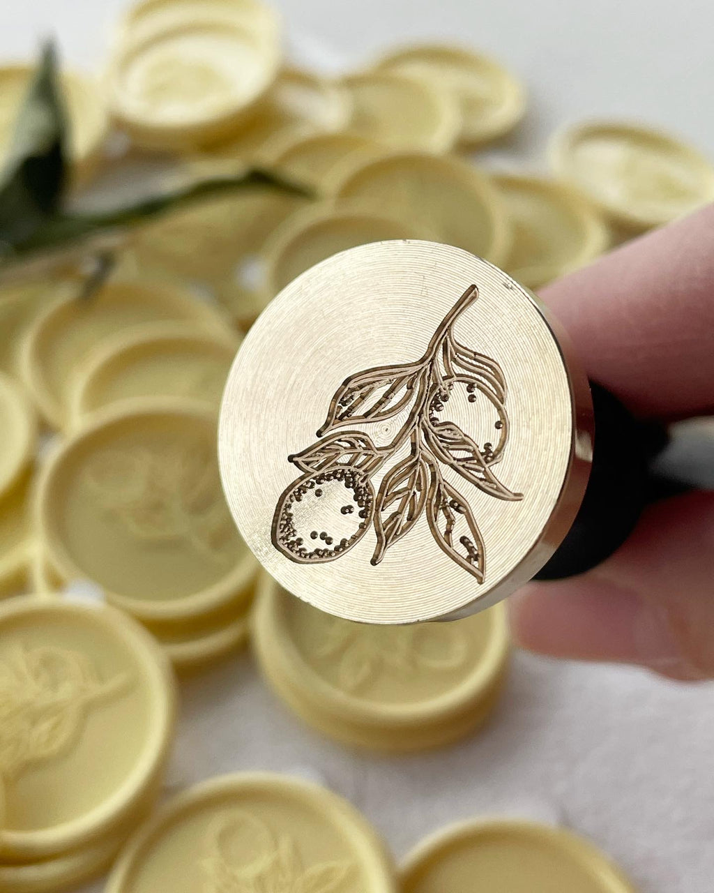 Citron - sceau de cire