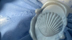Coquillage - Tampon de cire 3D